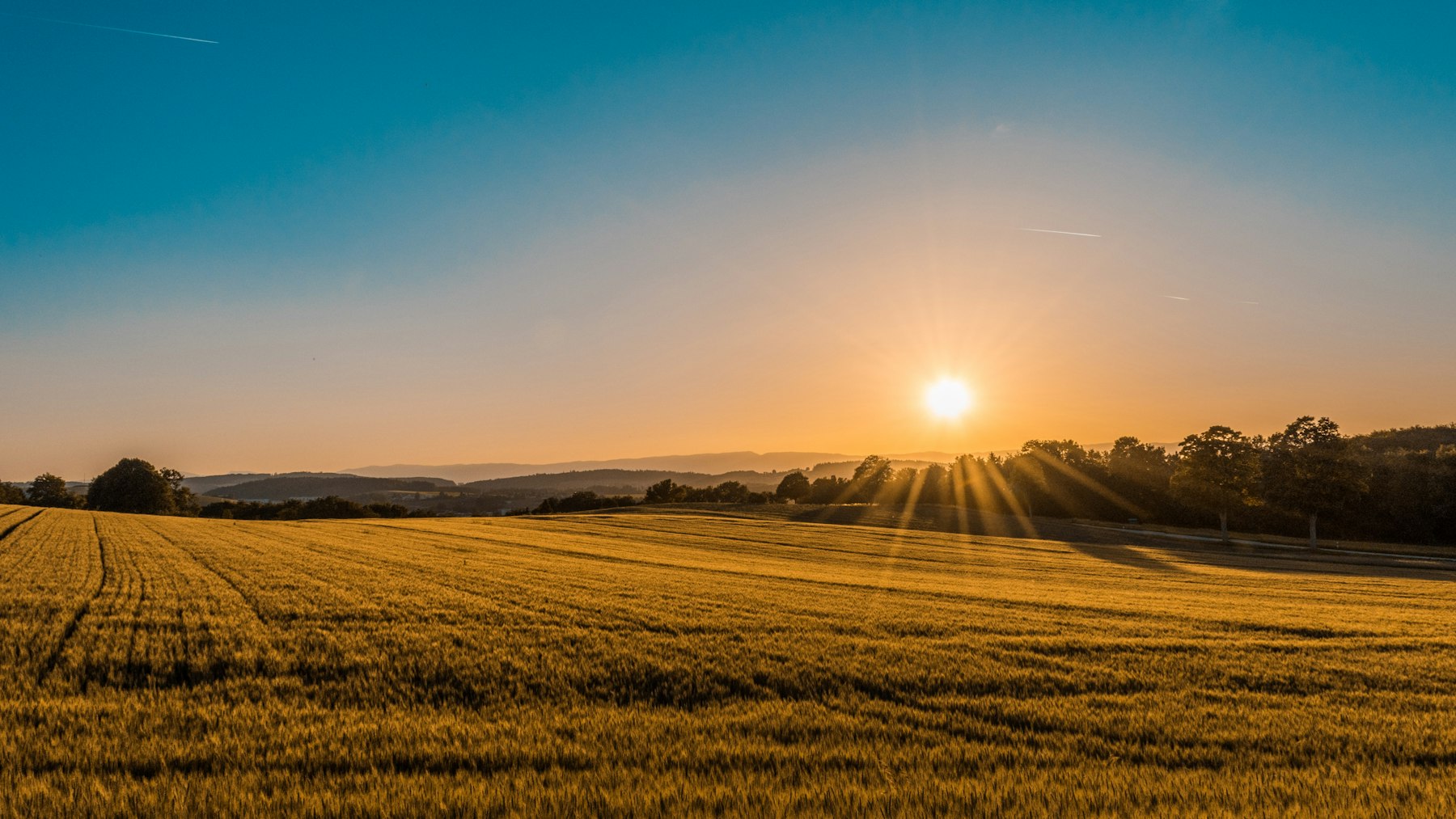 Agricultural fields in Brazil