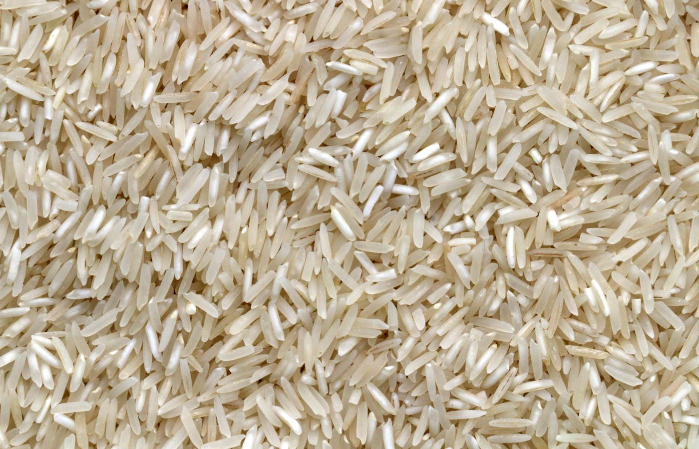 Brazilian rice grains